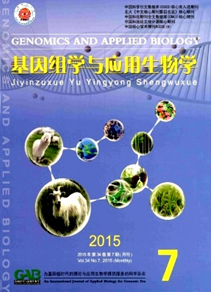 MW(xu)c(yng)W(xu)